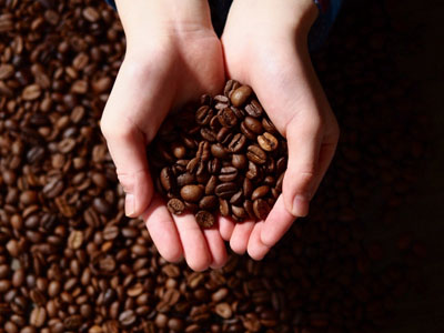 コーヒー豆の種類の一覧